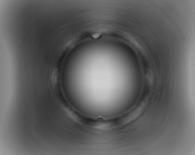 X0000115520458200911061421