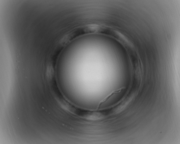 X0000115520459200911061421