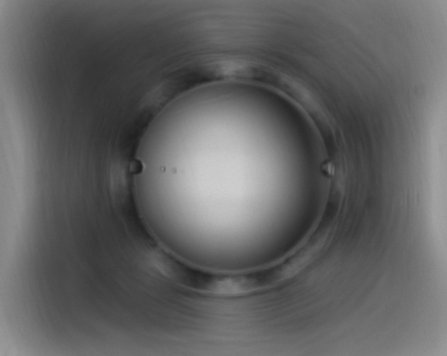 X0000115520461200911061421