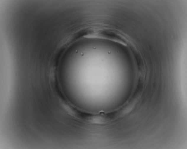 X0000115520462200911061421