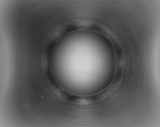 X0000115520464200911061421