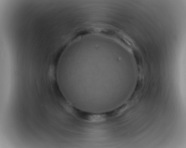 X0000115520465200911061421