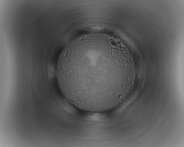 X0000115520467200911061421
