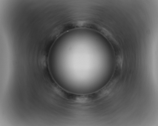 X0000115520470200911061421
