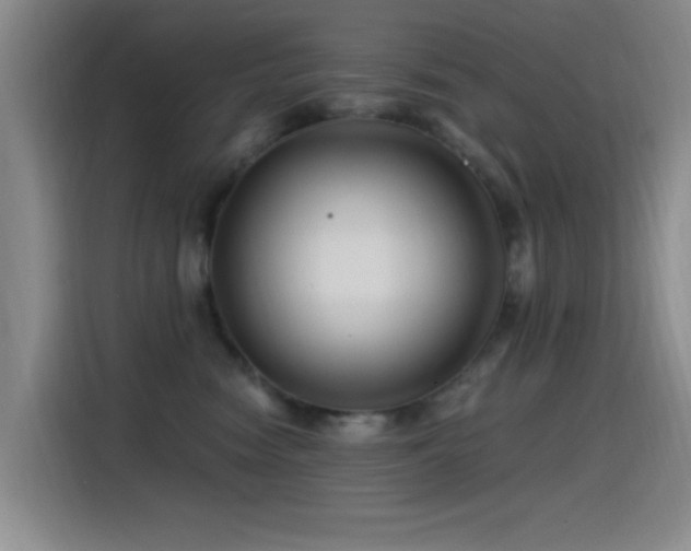 X0000115520474200911061421