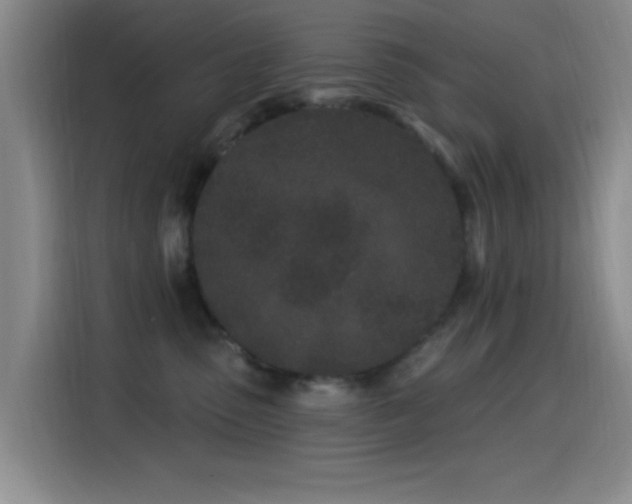 X0000115520475200911061421