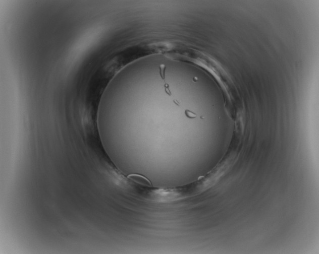X0000115520477200911061421