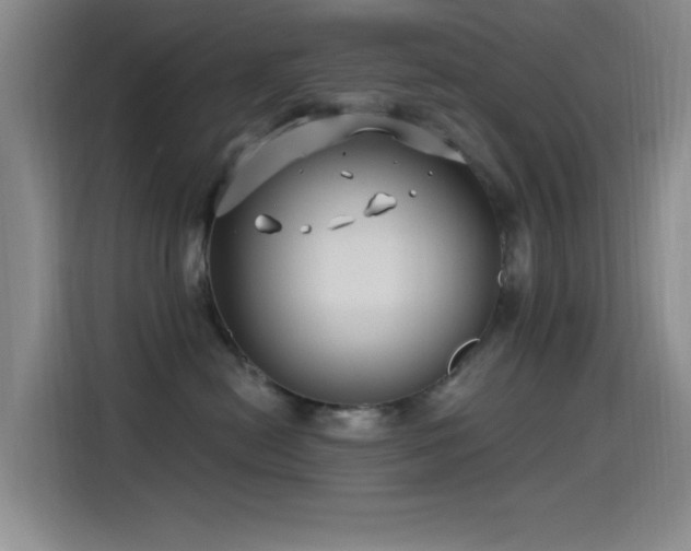 X0000115520478200911061421