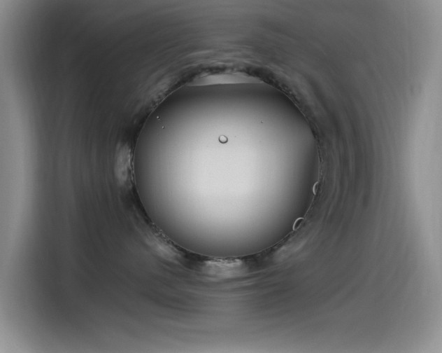X0000115520480200911061421