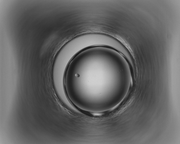 X0000115520481200911061420