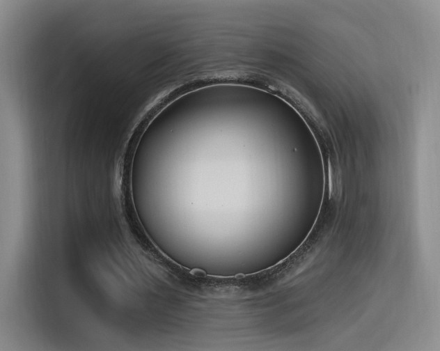 X0000115520483200911061420