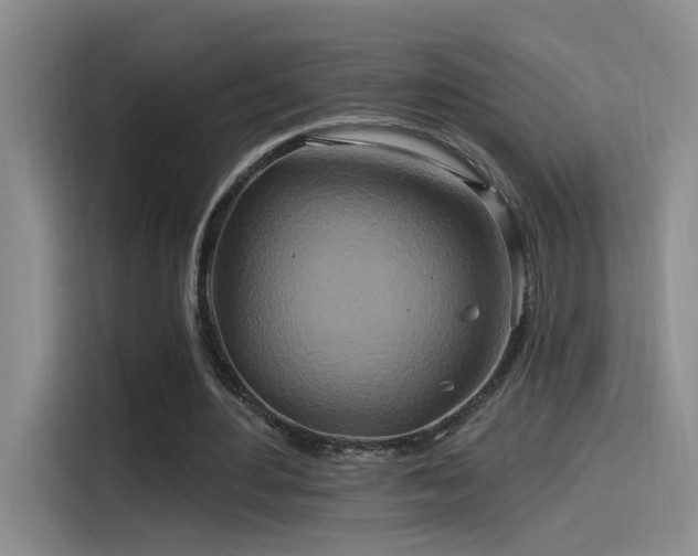X0000115520484200911061420
