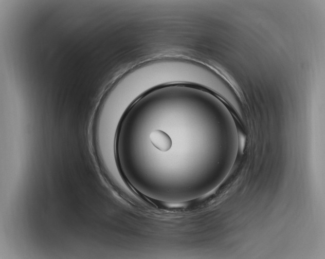 X0000115520485200911061420