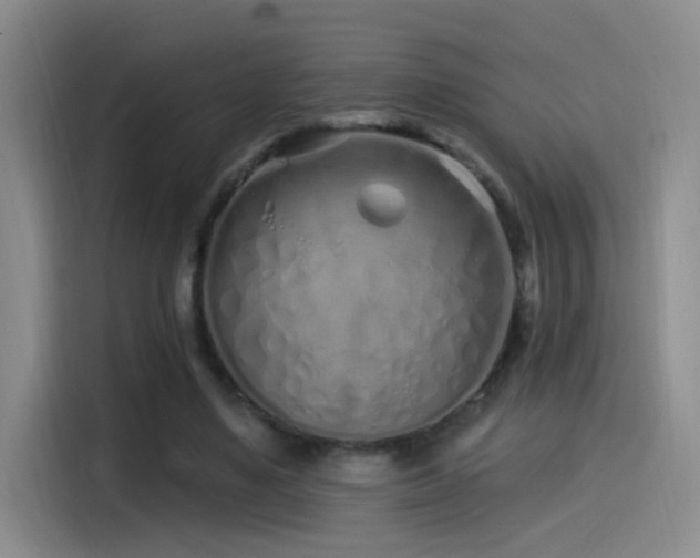 X0000115520491200911061420