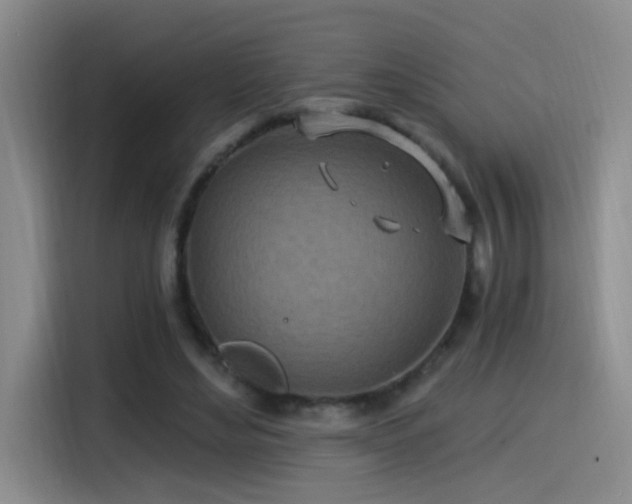 X0000115520492200911061420