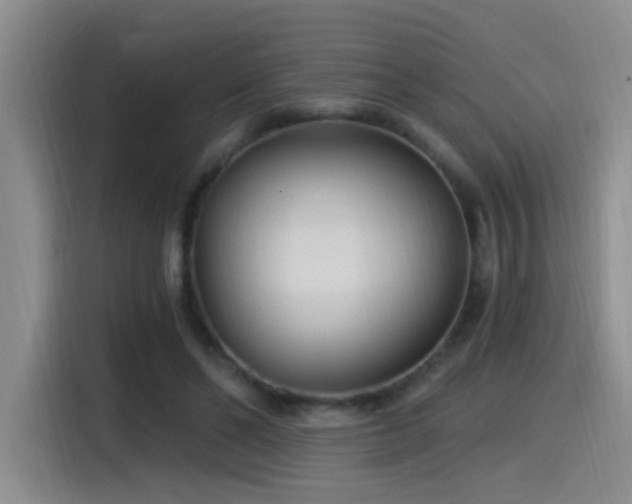 X0000115520494200911061420