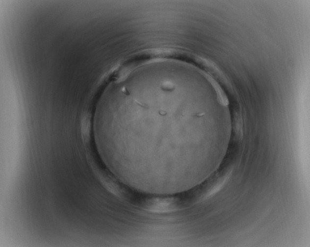 X0000115520495200911061420