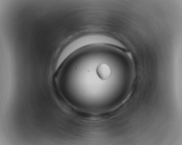 X0000115520496200911061420