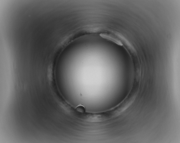 X0000115520497200911061420