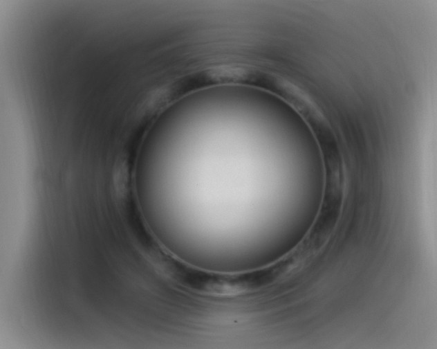 X0000115520498200911061420