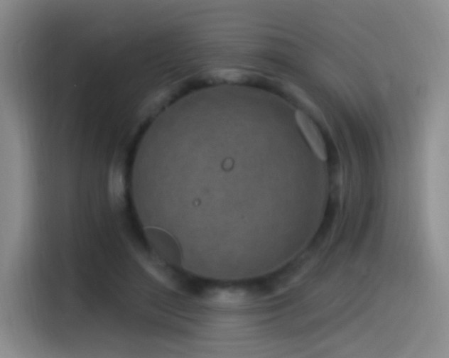 X0000115520500200911061420