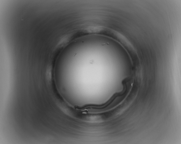 X0000115520501200911061420