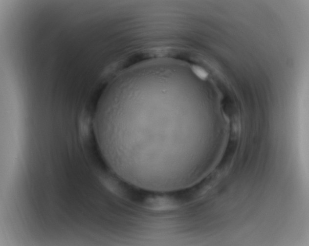 X0000115520503200911061420