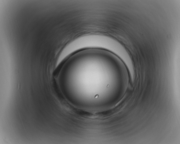 X0000115520504200911061420
