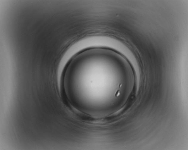 X0000115520505200911061420