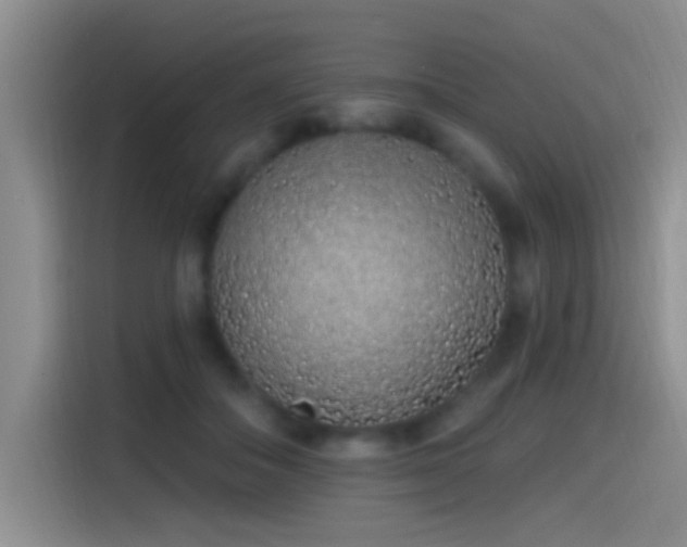 X0000115520506200911061420
