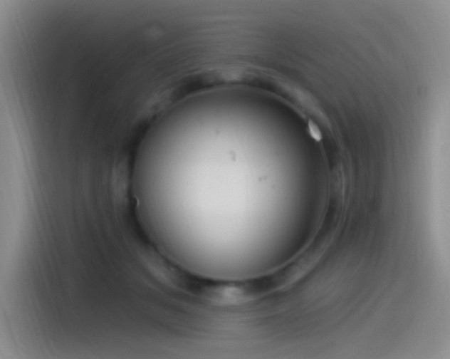 X0000115520509200911061420