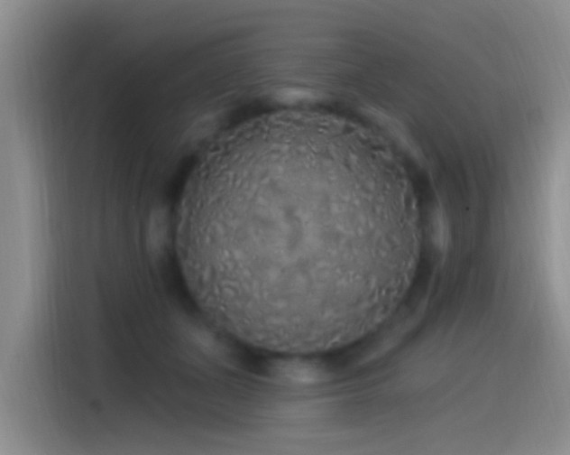 X0000115520511200911061420