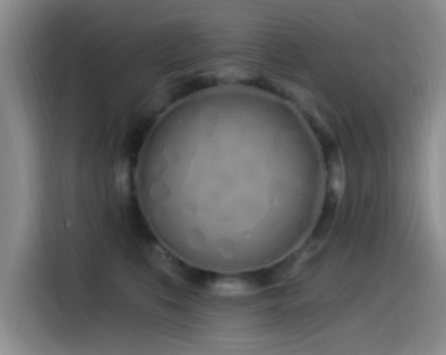 X0000115520519200911061420