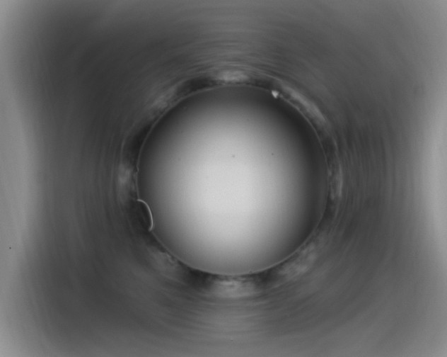 X0000115520521200911061420