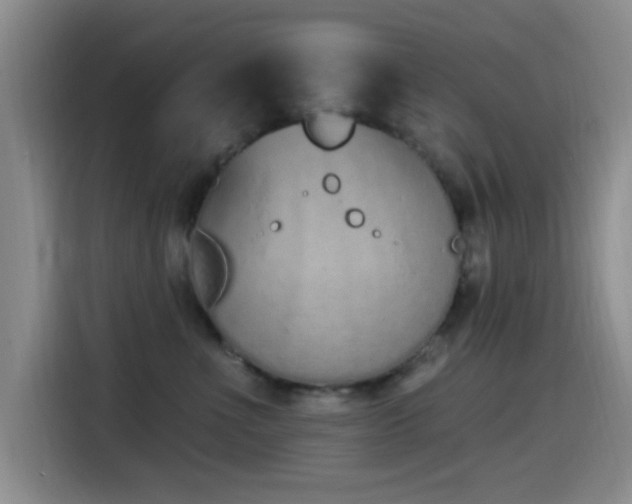 X0000115520523200911061420