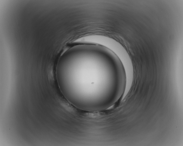 X0000115520524200911061420