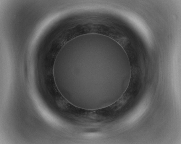 X0000115520526200911061420