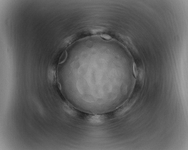 X0000115520527200911061420