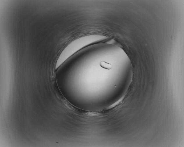 X0000115520528200911061420
