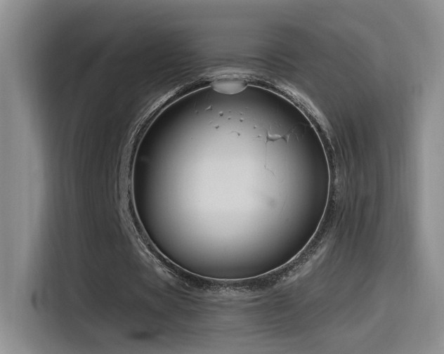 X0000115520529200911061419