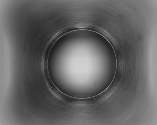 X0000115520530200911061419