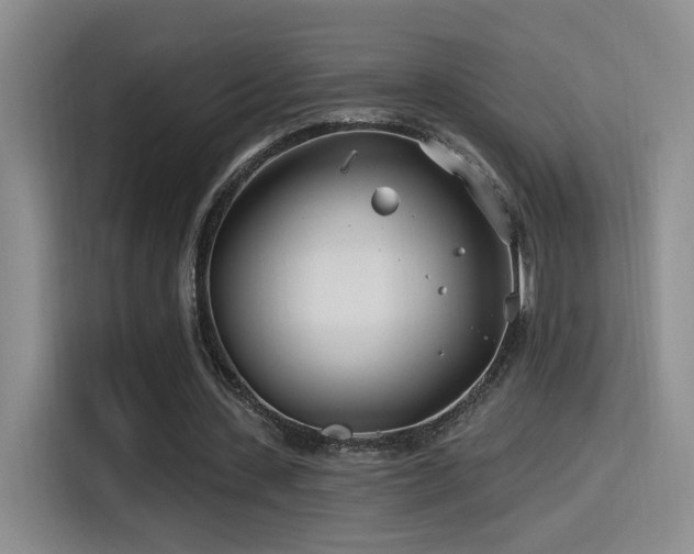 X0000115520531200911061419