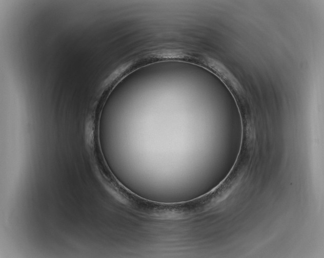 X0000115520533200911061419