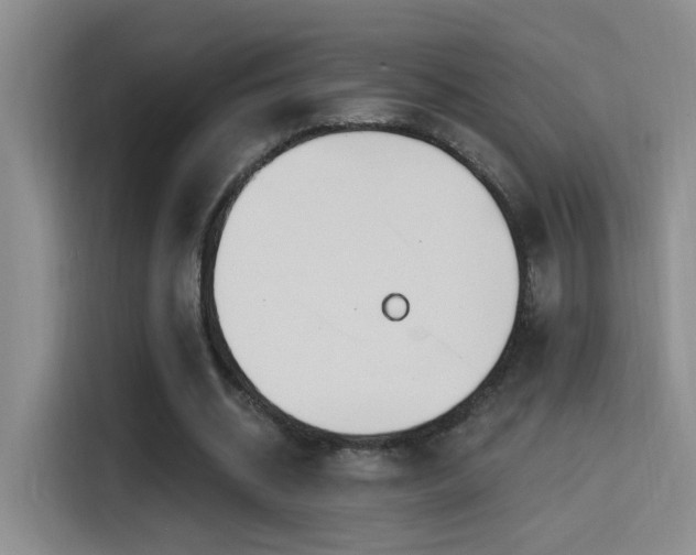 X0000115520534200911061419