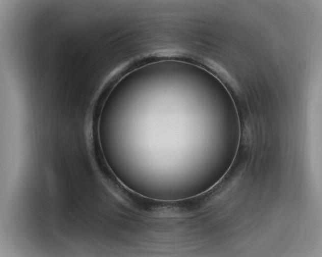 X0000115520535200911061419