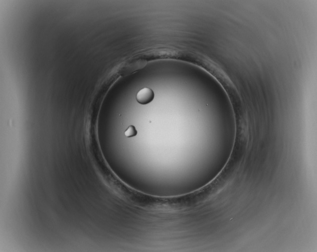 X0000115520538200911061419