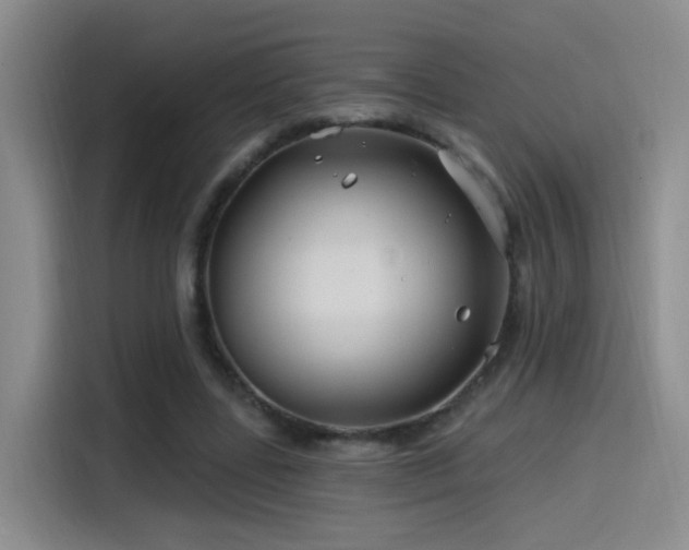 X0000115520539200911061419