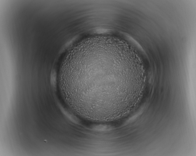 X0000115520542200911061419
