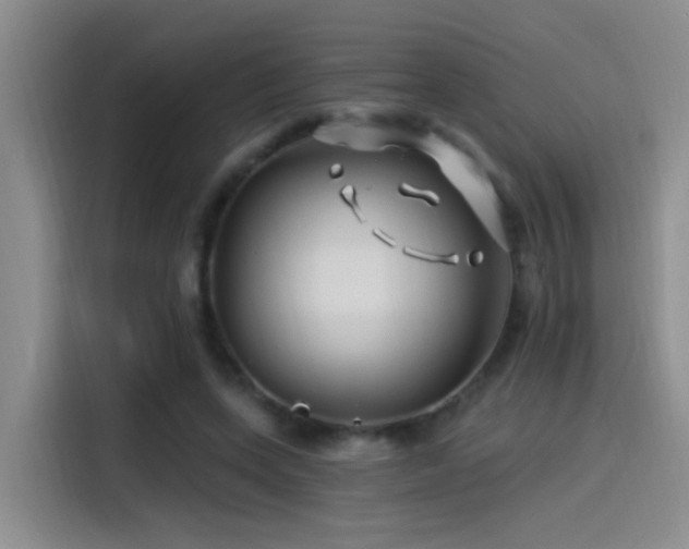 X0000115520543200911061419