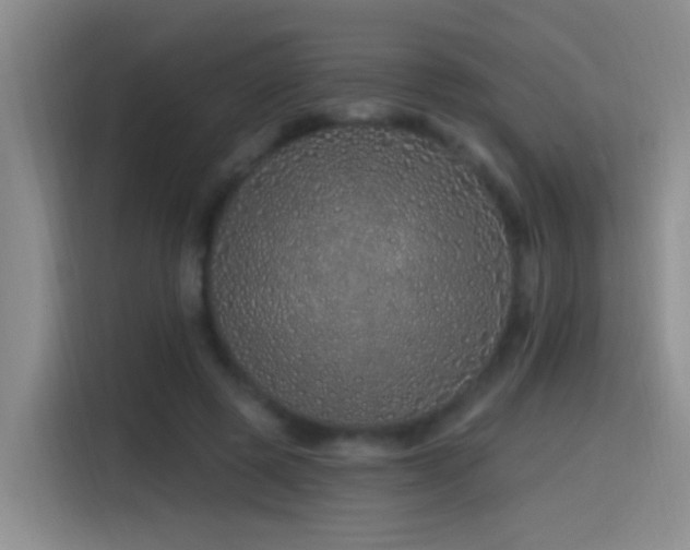 X0000115520545200911061419